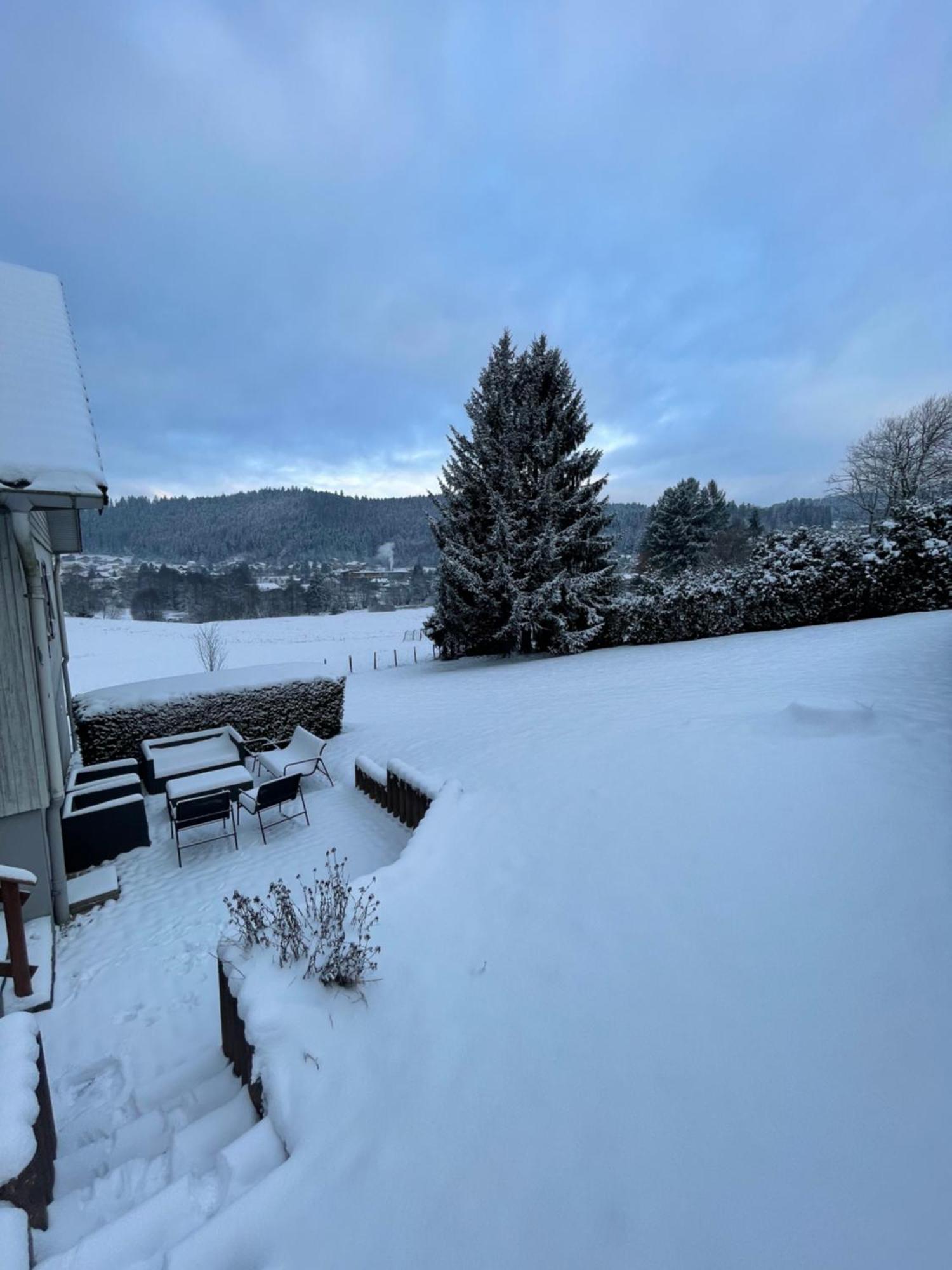 Chalet Le Cedre Bleu 10 P - 10 Min De Gerardmer Ле-Толи Экстерьер фото
