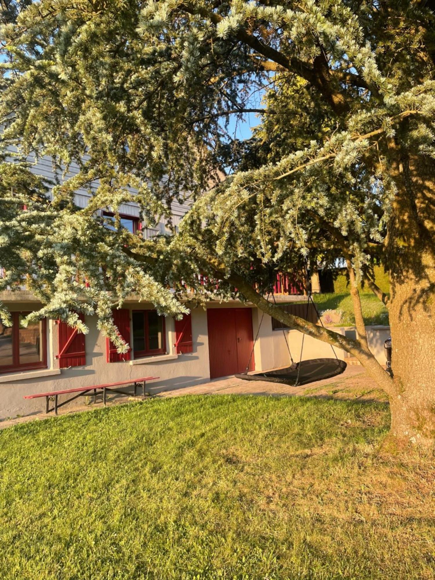 Chalet Le Cedre Bleu 10 P - 10 Min De Gerardmer Ле-Толи Экстерьер фото